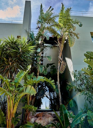Casa | 4 quartos