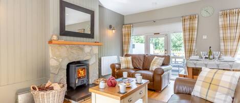 Télévision, cheminée