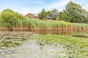 A wooden cabin by a calm lake with lily pads and tall grasses. - 3 Bed in Shebbear (oc-l32583) (Shebbear)