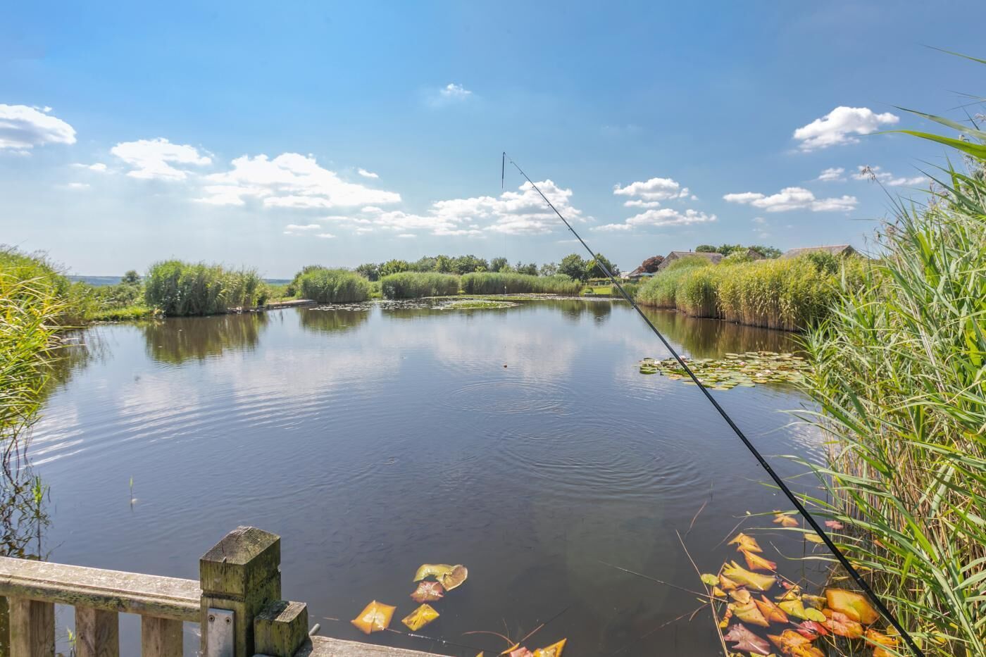 A calm river with a wooden dock and fishing rod, surrounded by lush greenery and trees.