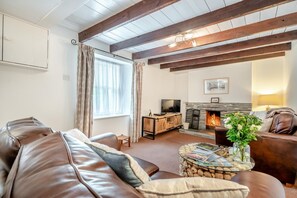 TV, fireplace - 2 Bed in Bodmin (oc-p00429) (Saint Teath)