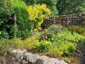 Un jardin agrémenté d’un mur en pierre et de diverses plantes et fleurs.