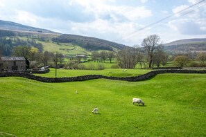 Un paysage rural avec un mur de pierres, des champs verdoyants et un bâtiment en pierre.