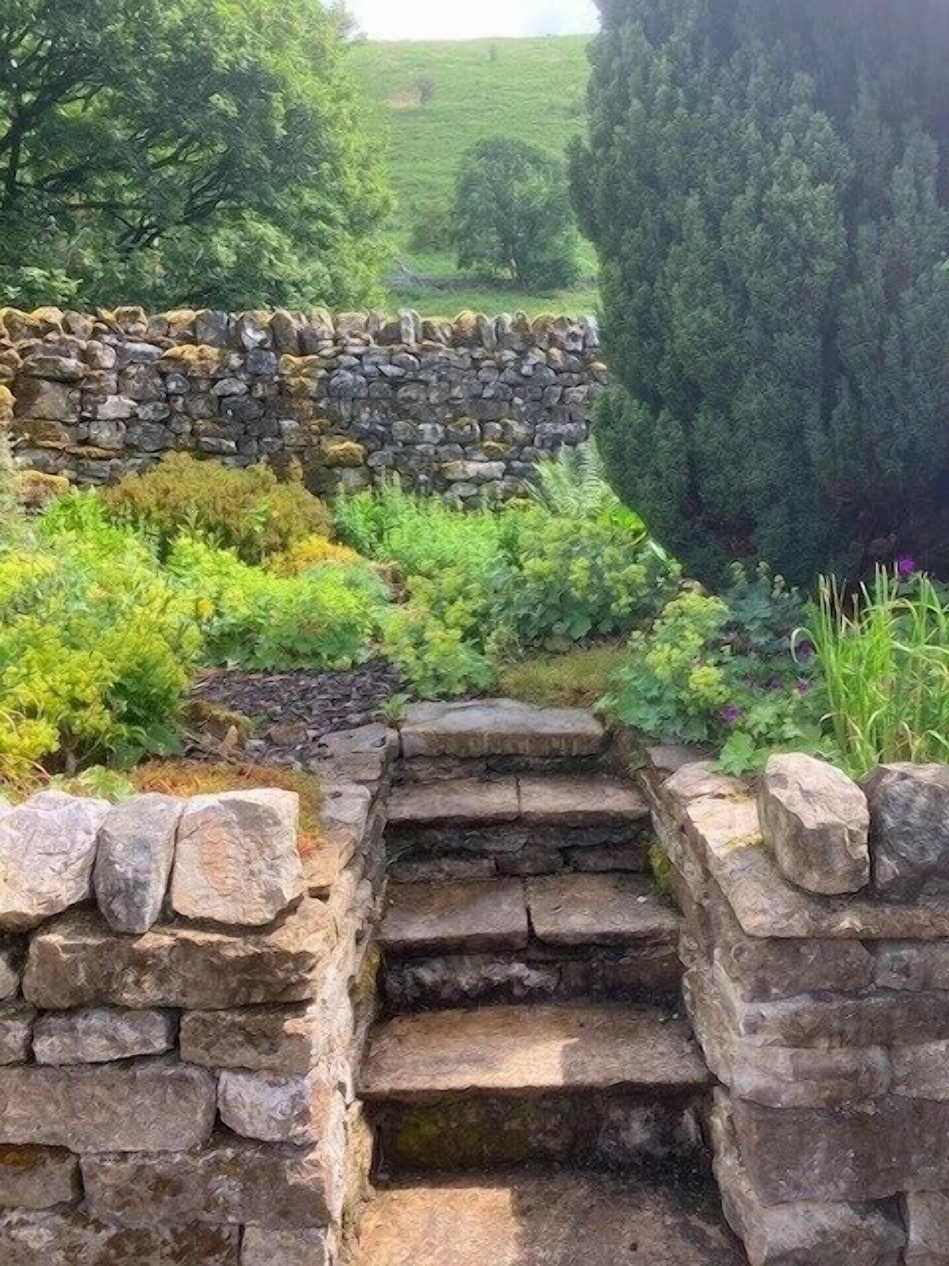 Terrain de l’hébergement 