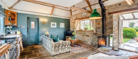 Televisión, chimenea