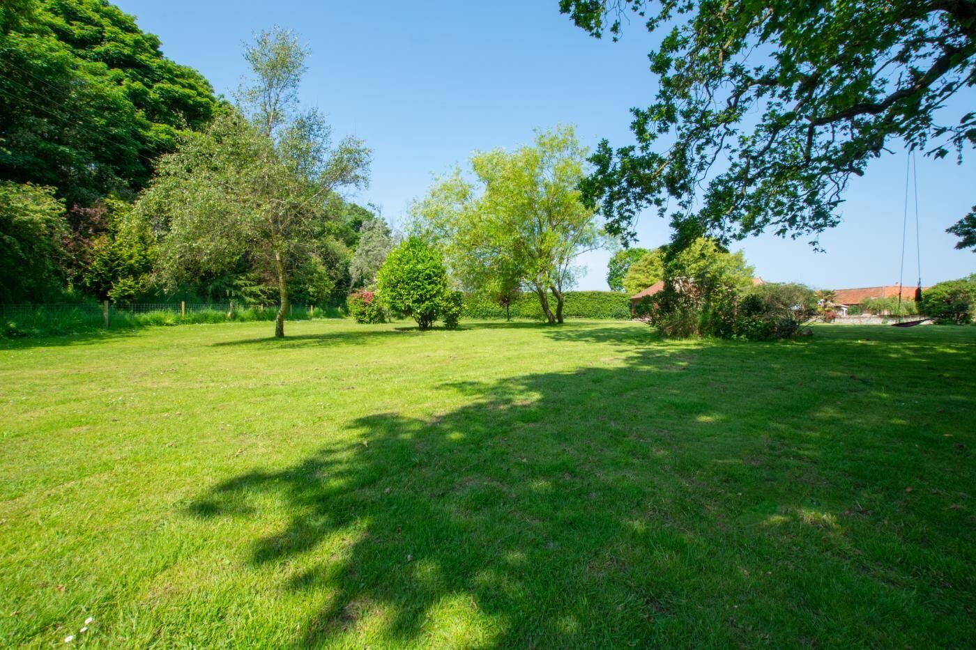 A grassy outdoor area with trees and a building in the background.