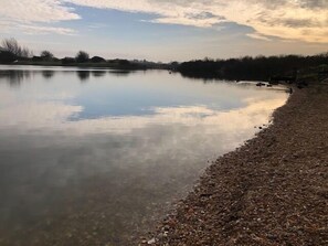 Un lago tranquilo con orilla de piedras y una línea de árboles a lo lejos.