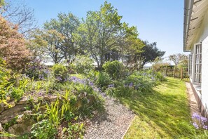 A garden with a gravel path, various plants, and a large tree. - 3 Bed in Lostwithiel (oc-cwhite) (Saint Winnow)