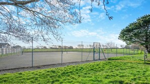Ein eingezäunter Sportplatz mit Schaukeln, umgeben von Gras und Bäumen.