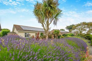 Property grounds - 3 Bed in St. Merryn (oc-p00114) (Saint Merryn)