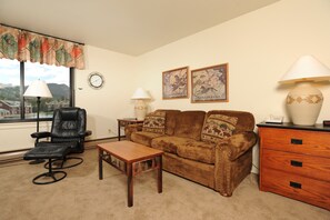 TV, DVD player - Spacious Studio on Keystone Lake with Full Kitchen (Keystone)