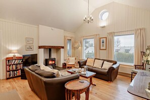 Televisión y chimenea 