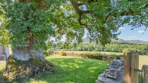 Un mur de pierres, une porte en bois et un grand arbre dans un paysage rural.