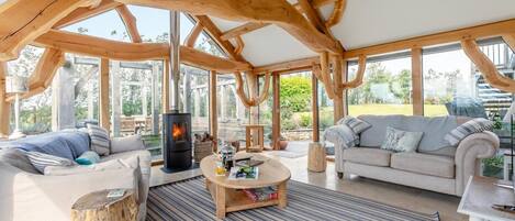 Televisión y chimenea