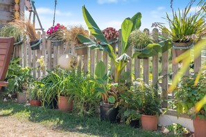 A garden with various potted plants and a wooden fence. - 2 Bed in Newquay (oc-p00335) (Mawgan Porth)