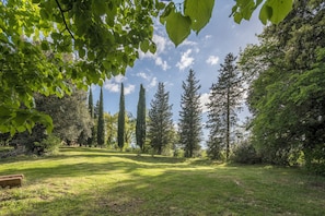 Exterior - Farmhouse Monti Pool Casole D'Elsa (Casole d'elsa)
