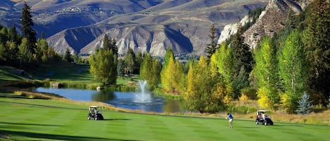 Golf