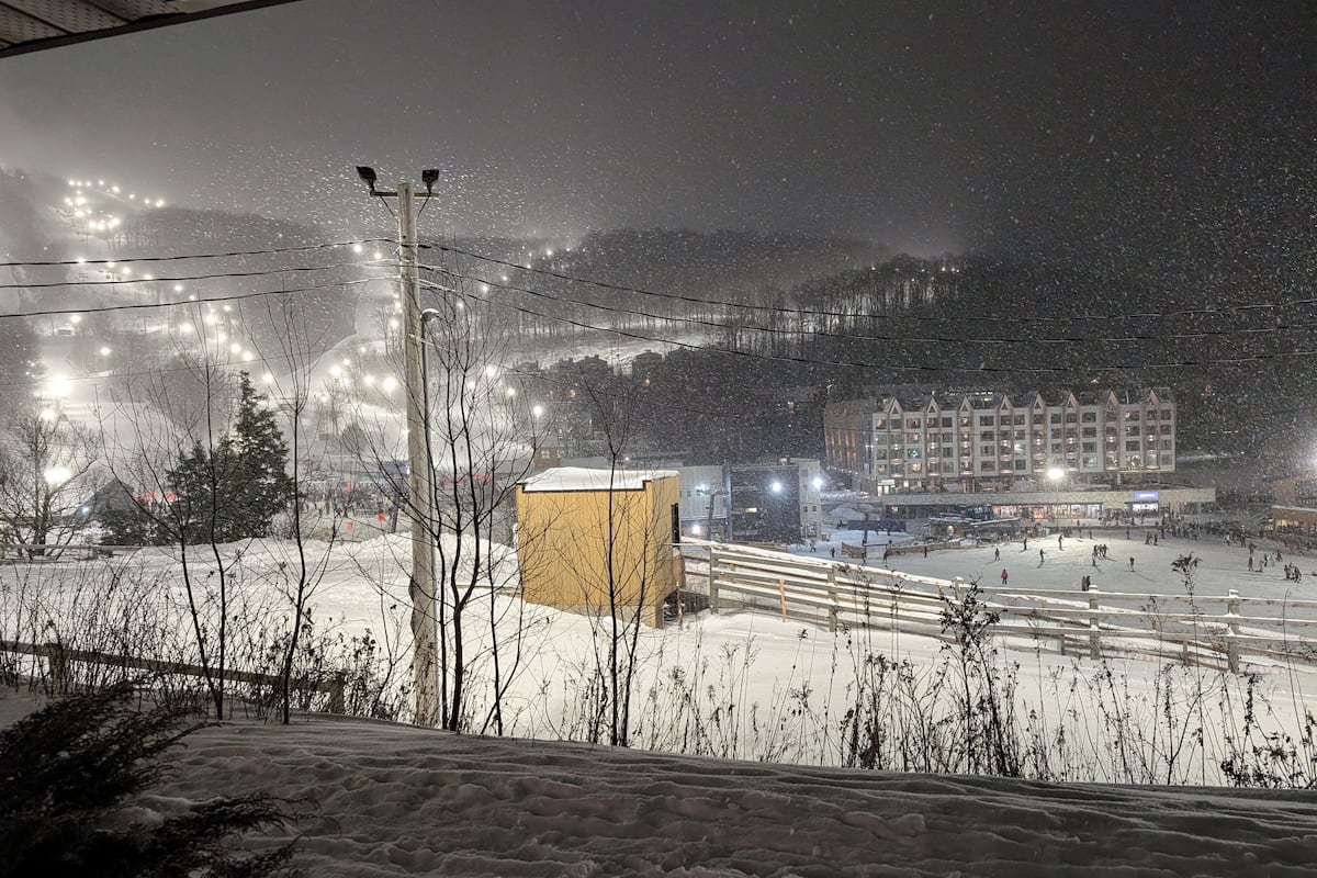 Classic Condo, Mountain View | Terrace/patio