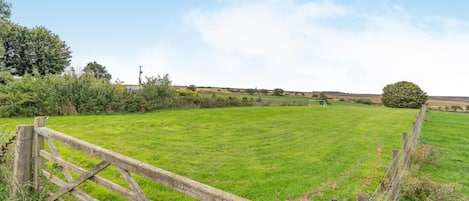 A grassy field with a wooden gate and a metal fence.