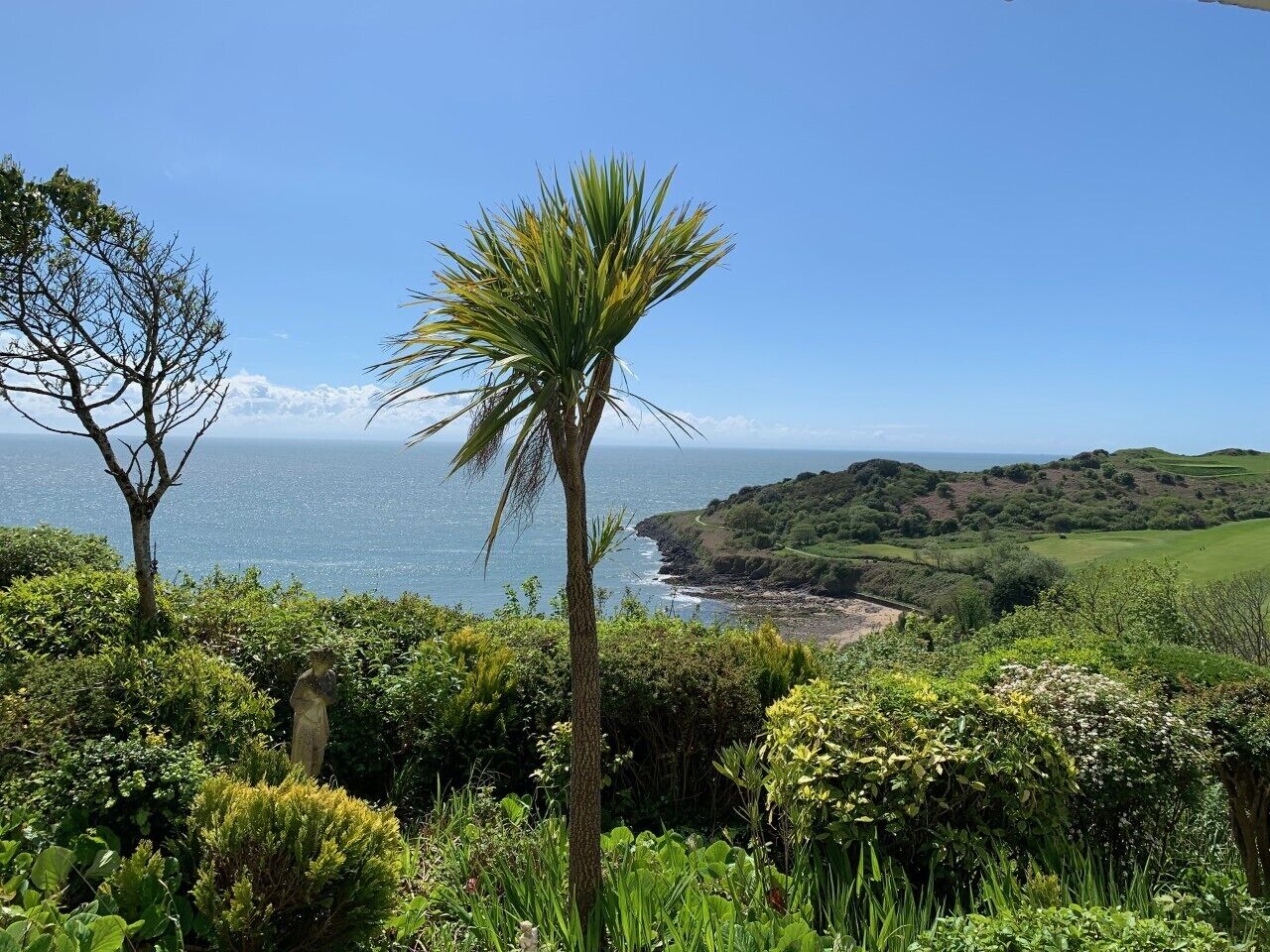 A coastal landscape with a palm tree, dense greenery, and a view of the sea and hills.