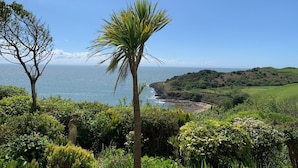 Paisaje costero con una palmera, vegetación exuberante y vistas al mar y colinas.