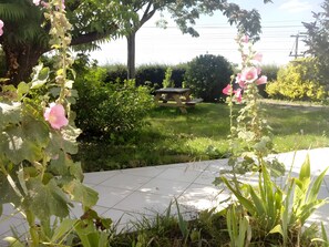 A garden with a picnic table, a tree, and various plants.