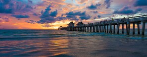 Sun-loungers, beach towels - Bright & Breezy Getaway - Near Downtown Naples (Naples)