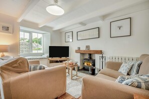 Fernseher, Kamin