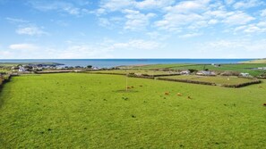 Un paysage rural avec des champs verdoyants, des bâtiments dispersés et une étendue d’eau à l’horizon.