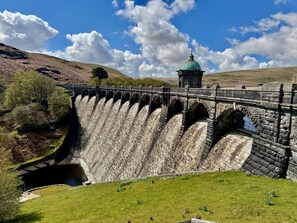 Unclassified image, 5 of 17, button