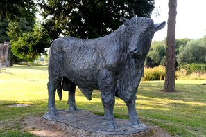 Unclassified image, 5 of 18, button