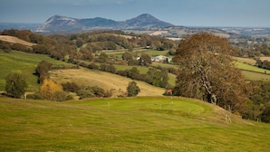 Ein weiter Panoramablick über eine ländliche Landschaft mit sanften Hügeln, einem markanten Baum und fernen Bergen.