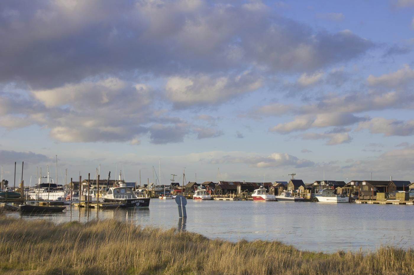 A marina with boats docked, a person standing by the water, and buildings in the background.