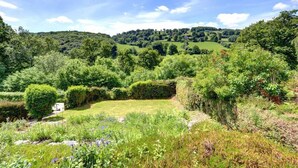 Un jardin luxuriant, avec une grande variété de plantes et un petit étang.