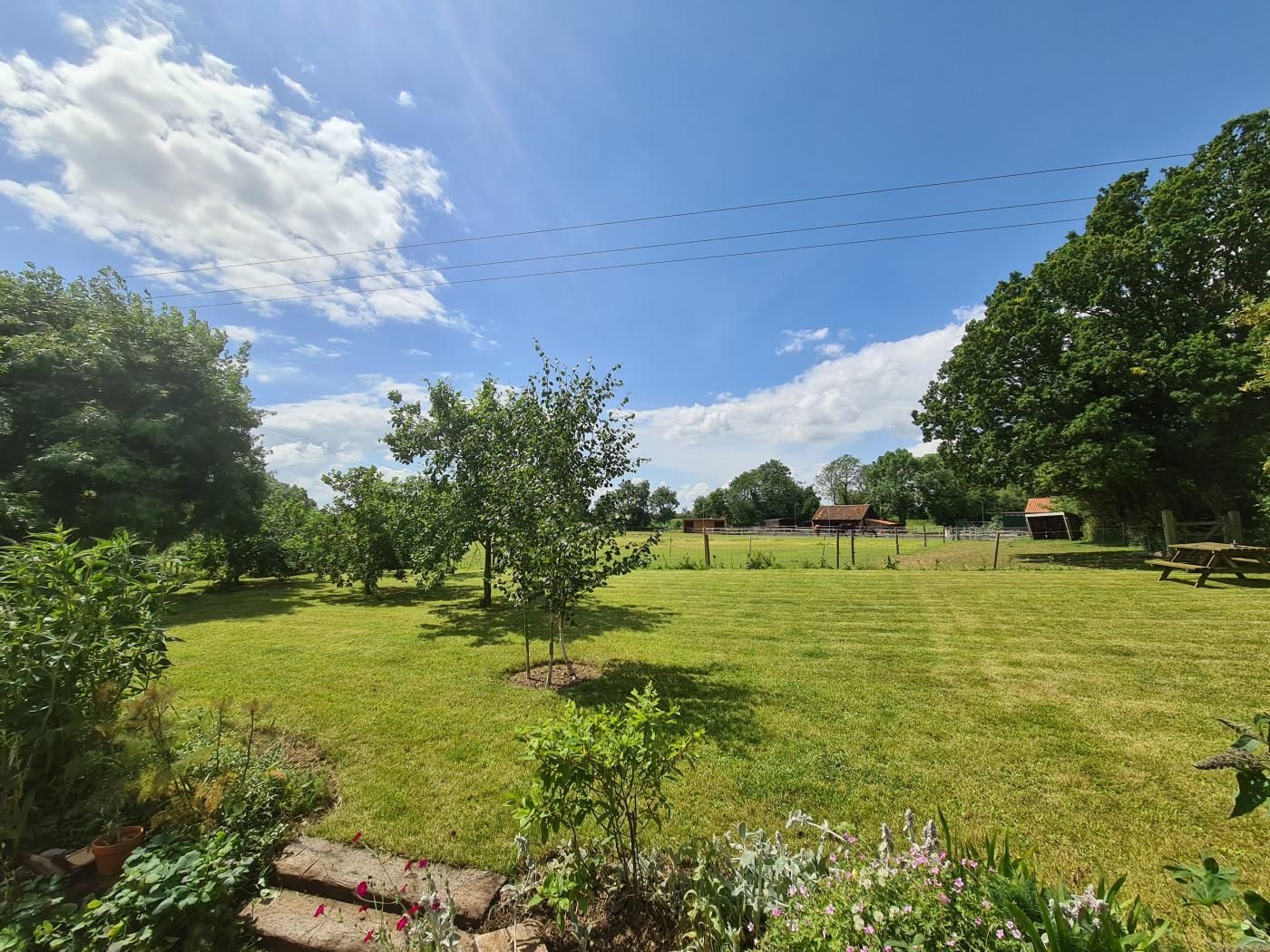 A grassy yard with trees and a wooden fence.
