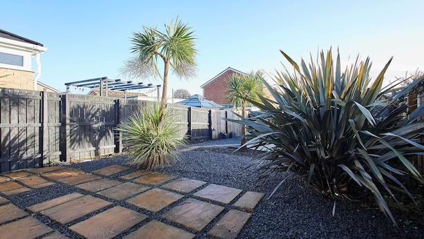 A backyard with a wooden fence, a palm tree, and a large agave plant. - Host & Stay | Coquet House (Ellington)