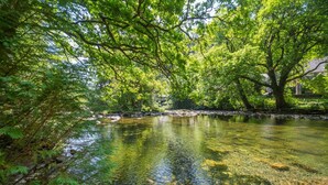 A clear river surrounded by dense green foliage and trees. - 2 Bed in Betws Y Coed (oc-wag474) (Betws-y-coed)