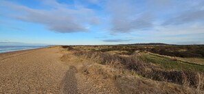 Un paysage côtier avec un sentier de terre menant à la plage, entouré d’herbes sèches et de buissons.