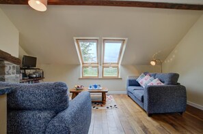 TV, fireplace - 2 Bed in Machynlleth (oc-wad305) (Cemmaes)