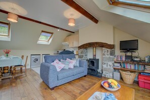 TV, fireplace - 2 Bed in Machynlleth (oc-wad305) (Cemmaes)