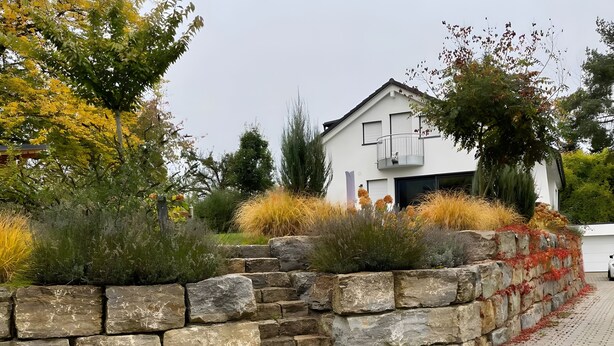 Een modern huis met een stenen muur, een verharde oprit en diverse beplanting.