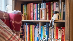 Eine gemütliche Leseecke mit einem Karosessel und einer Bücherwand voller Bücher.