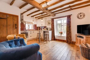 TV, fireplace - 1 Bed in Richmond (oc-ds1032) (Richmond)