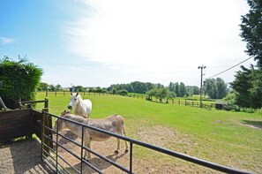 Miscellaneous - 1 Bed in Acle (oc-1256) (Limpenhoe)