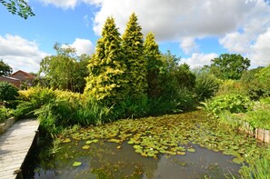 A garden with a wooden boardwalk, a pond with lily pads, and various greenery. - 2 Bed in Attleborough (oc-1277) (Old Buckenham)