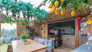A wooden interior with a dining area, kitchen, and hanging plants.
