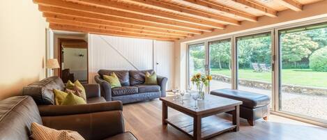 Televisión y chimenea