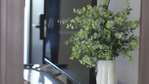 A television on a stand, a white vase with green foliage, and a wooden cabinet. - Casa Mestiza (Guadalajara)
