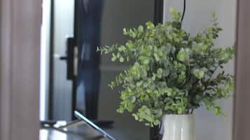 Escritorio, espacio para trabajar con laptop y wifi gratis