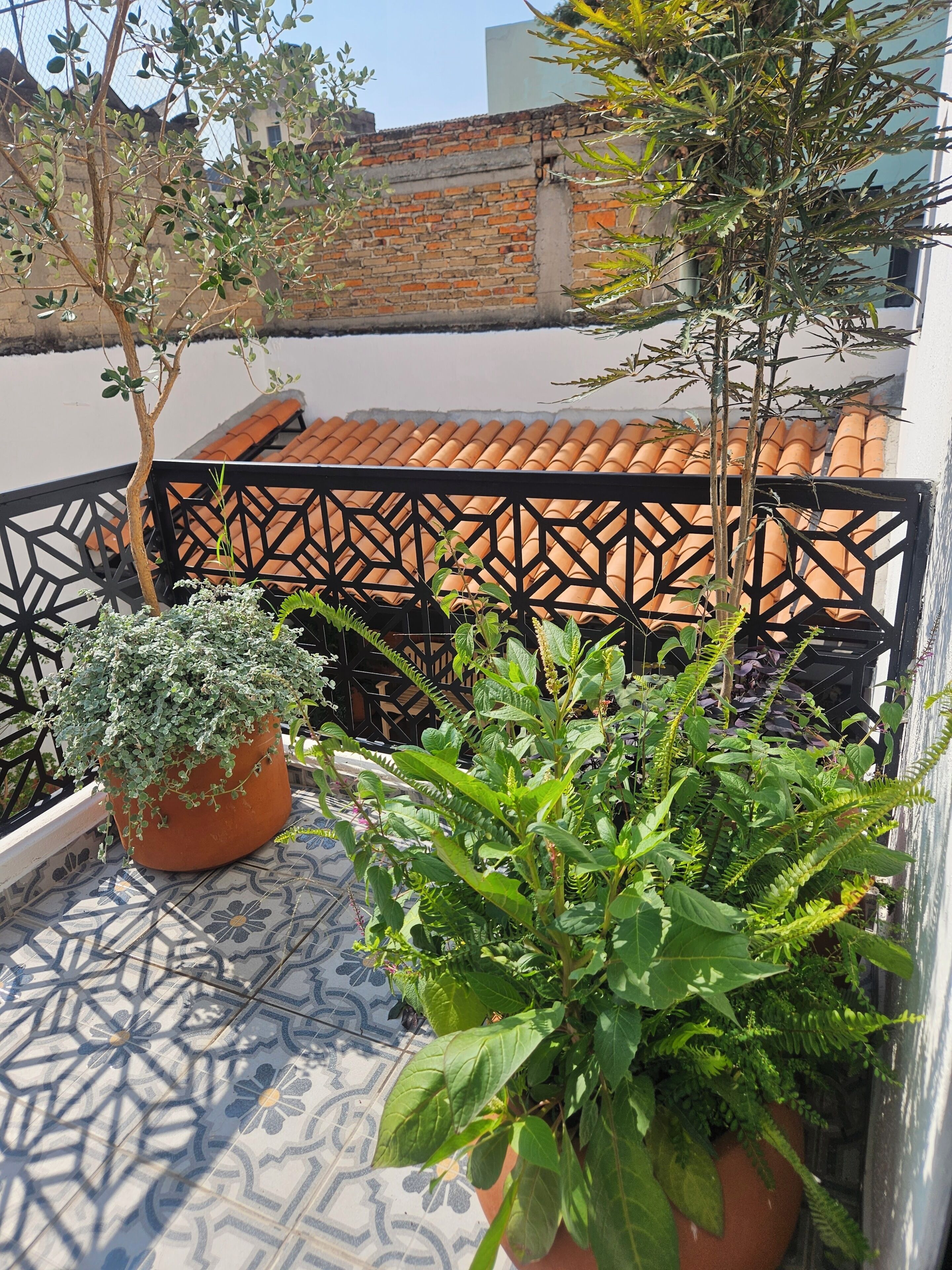 Habitación estándar | Terraza o patio